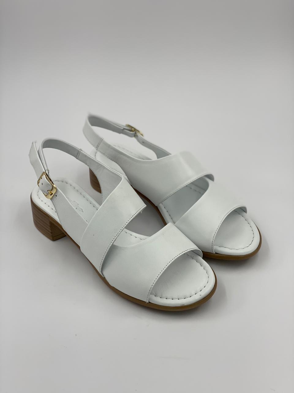 WhatsApp Image 2026-03-25 at 18.26.31 (3)